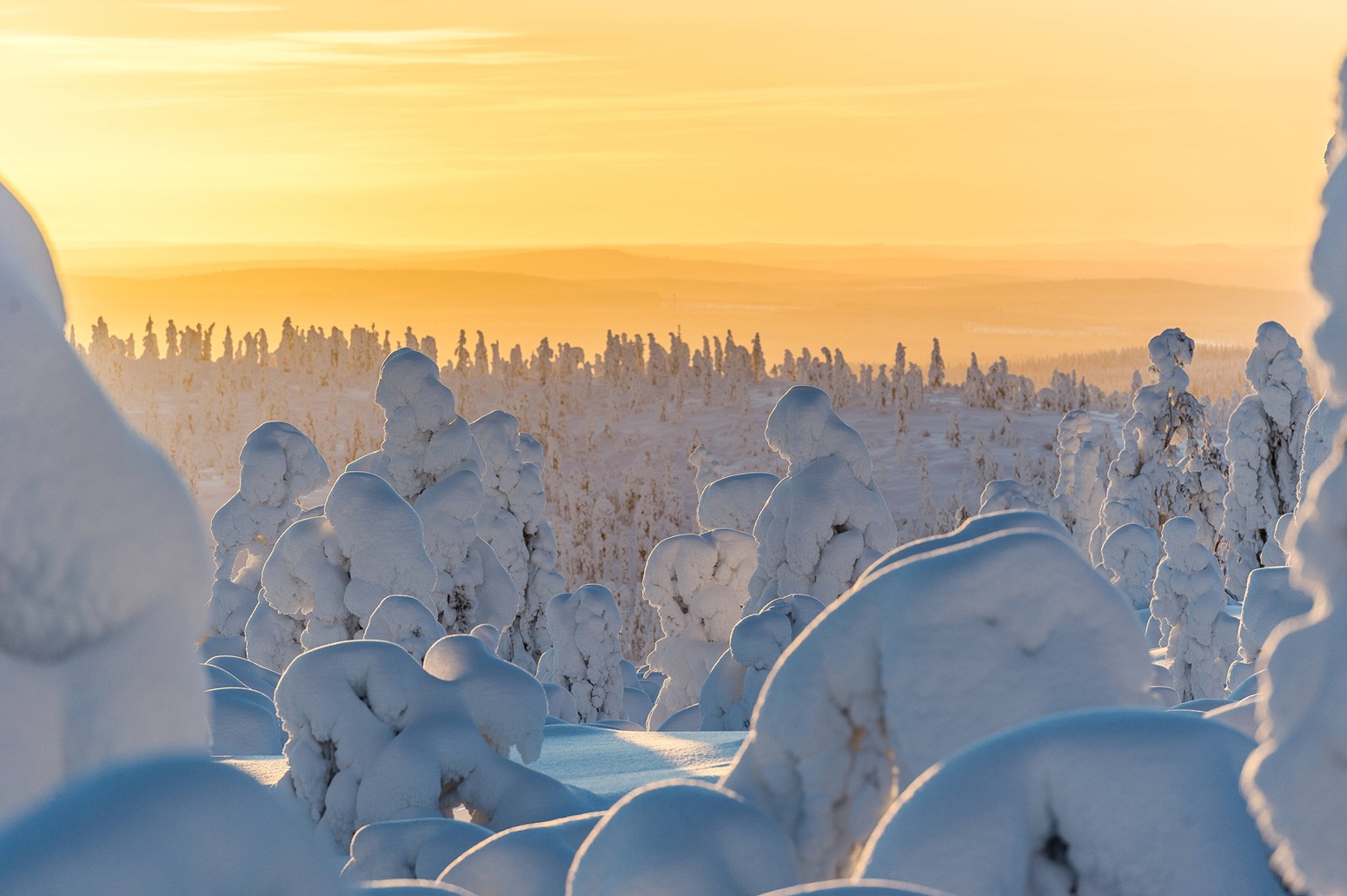 Paisaje nevado de Laponia al atardecer